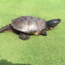 Gordon Pines Golf Club - Private Golf Courses