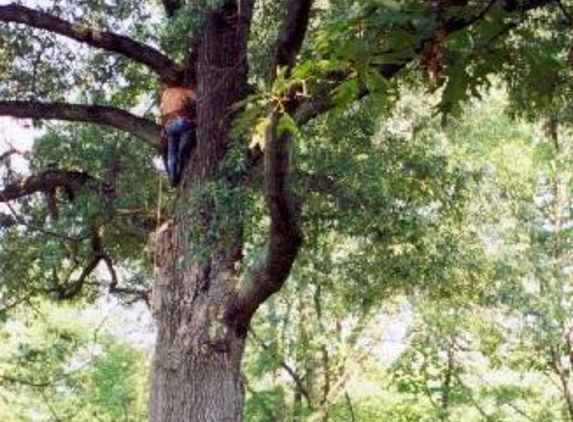 Moores Tree Service - Newark, DE