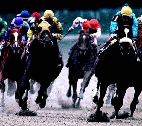 John F Nugent Photography - Rio Rancho, NM. "Horse Race"