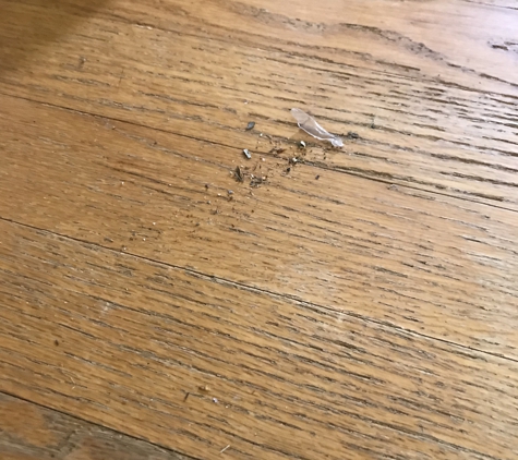 Sisters Cleaning Service - Canton, GA. Swept this off my freshly cleaned floor