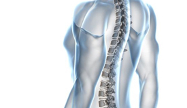 Arana Hills Chiropractic Centre - Arana Hills, QLD