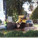 Cadieu  Tree Experts - Arborists