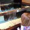 Red Lobster gallery