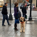 Steve's Dog Walking & Pet Sitting - Pet Services