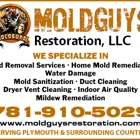 Moldguys Restoration