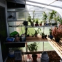 Sunglo Greenhouses