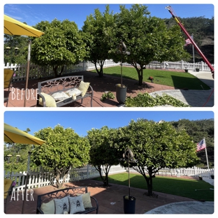 RG Landscaping & Services - San Miguel, CA. Tree pruning