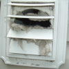 Apex Appliance Service & Dryer Vent Cleaning gallery