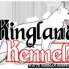 Kingland Kennels gallery