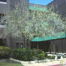 Webster Therapy Center - Speech-Language Pathologists
