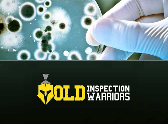 Mold Inspection Warriors - San Francisco, CA