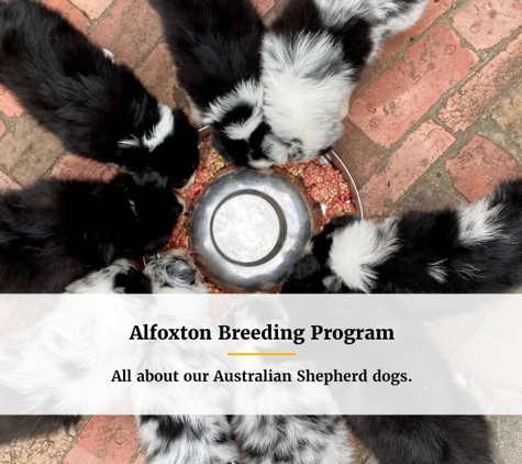 Alfoxton Dog Centre - Heathcote Junction, VIC. Alfoxton Breeding Program