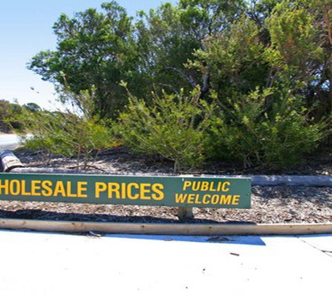Glenvue Wholesale Nursery - Rye, VIC. Mornington Peninsula Wholesale Plant Nursery