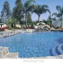 National pool service - Swimming Pool Repair & Service