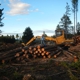 Northwest Logging Company, LLC