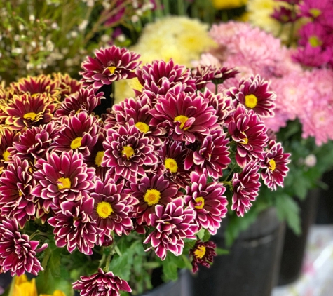 Flower Barn Of Hillsborough - Hillsborough, NJ