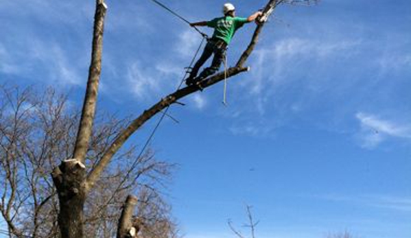 ArborPro Tree Service - Fort Dodge, IA