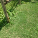 Turf Doctor - Lawn Maintenance