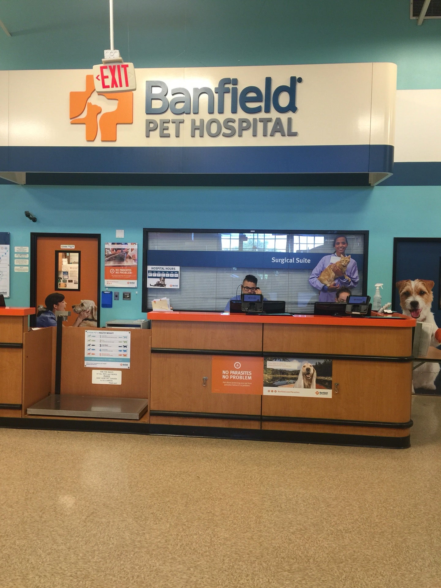 Banfield hospital at store petsmart