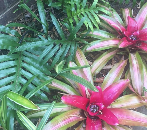 Premier Palms Nursery - Mariginiup, WA
