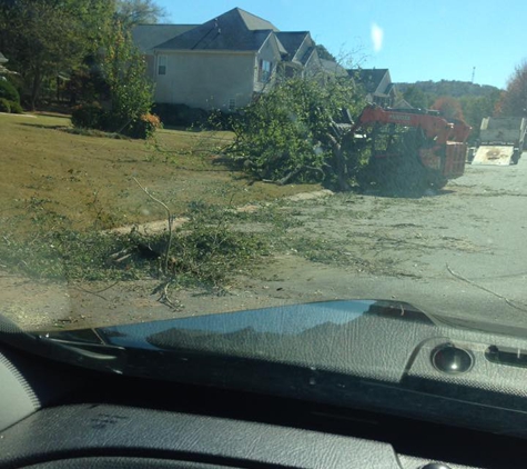 Stanleys Tree Service - Plainville, GA. trashing my street and blocked