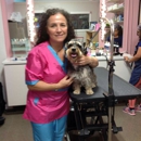 D'Rosas Dog Chic - Pet Grooming