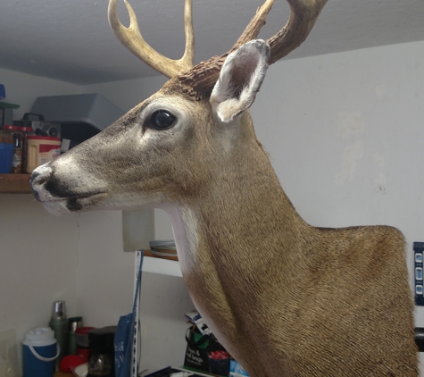 Campbell's Quality Deer Processing And Taxidermy - Trenton, SC