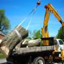 Woodland Tree Care - Tree Service