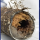 Pipe Restoration Solutions