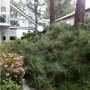 Greenbrier Lawn & Tree Expert Co.