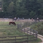 Hudson Derby Stables