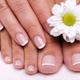 Nail Correct LLC