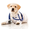 Gainesville Veterinary Hospital gallery