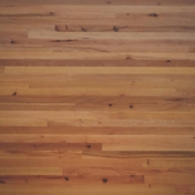 Gallery Image Number 7