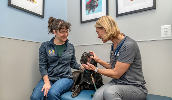 Livewell Animal Hospital at The Parks - Washington, DC