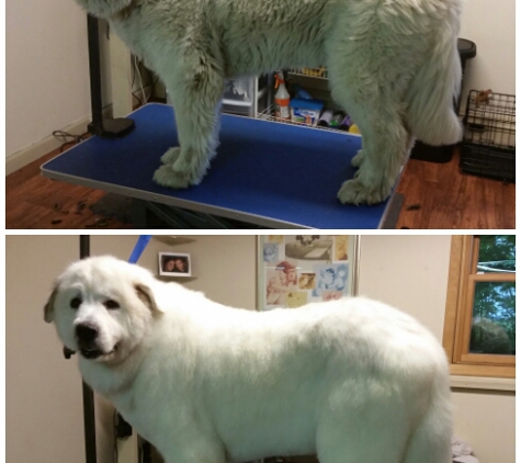 Flawless Paws Pet Grooming - Middletown, NY