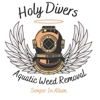 Holy Divers Aquatic Weed Removal gallery
