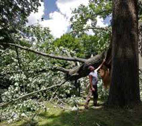 R & R Tree Service, Inc. - Davie, FL