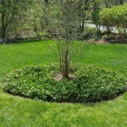 Northeast Landscape Contractors, Inc.