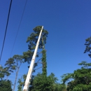 The Tree Amigos-Lake Charles - Tree Service