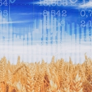 Cash Cow Farmer - Farming Service