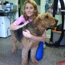 Kellie's Pet Salon Grooming, Boarding & Rescue - Pet Boarding & Kennels