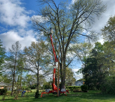 All American Brush Removal - Saint Louis, MO