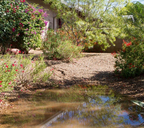 Ecosense Sustainable Landscapes - Tucson, AZ