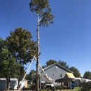 Total Tree Care - Tree Service