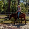 Piney Acres Training Stables gallery