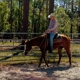 Piney Acres Training Stables