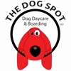 Dog Spot gallery