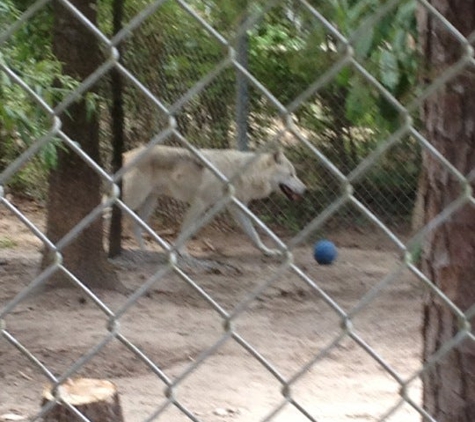 Conservators' Center - Burlington, NC