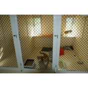 Gallery Image Number 1